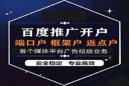 某电商平台的SEM策略与效果展示